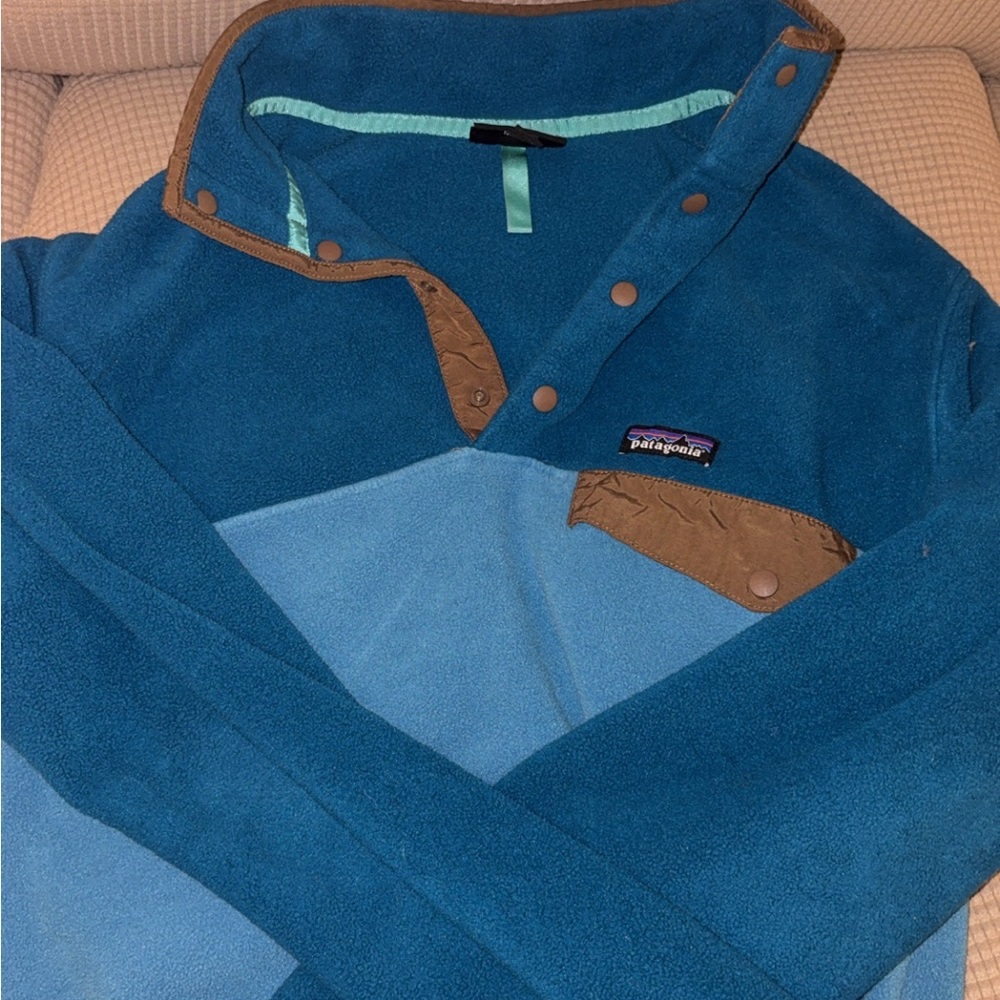 Patagonia Blue and Brown Fleece Pullover